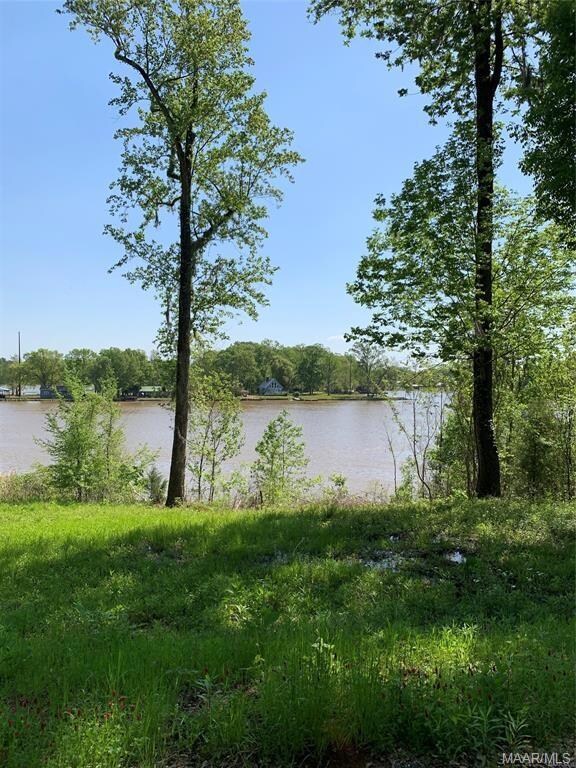 34/34A Riverview Landing Dr, Camden, AL 36726 - photo 6