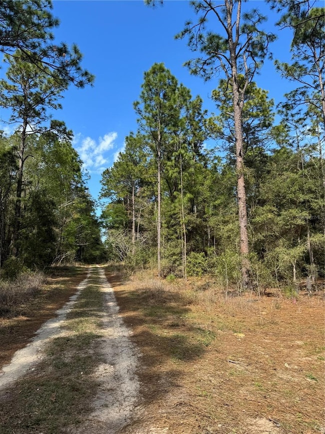 0 SW 156th Ct unit MFRO6331601, Ocala, FL 34481 - photo 3