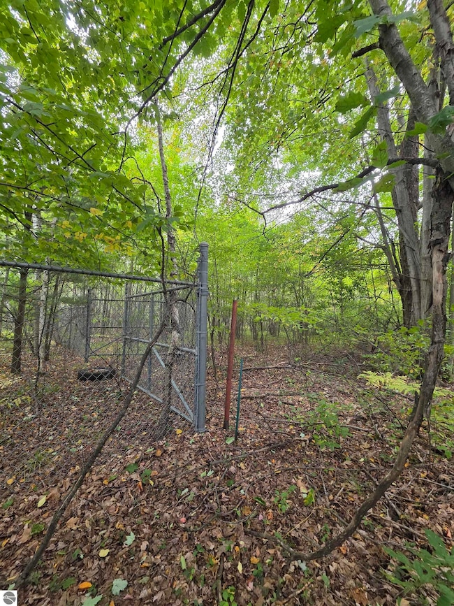 TBD S Chippewa Rd, Mount Pleasant, MI 48858 - photo 4