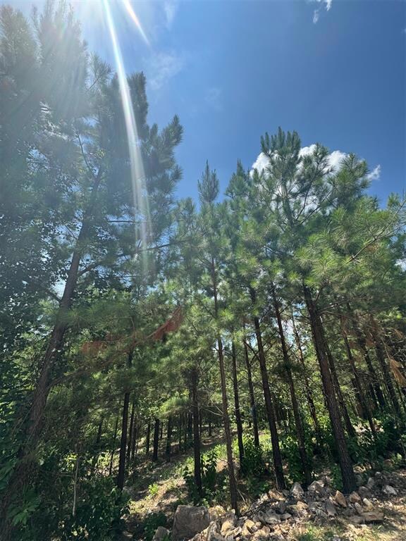 155 Charmed Ridge Ln, Hochatown, OK 74728 - photo 6