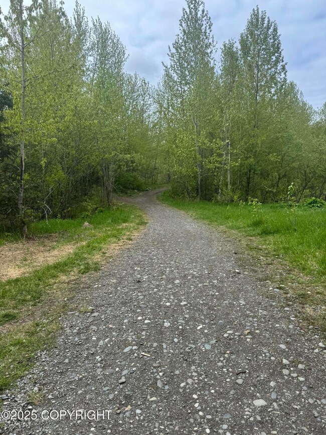 Walking trail around Cheney Lake