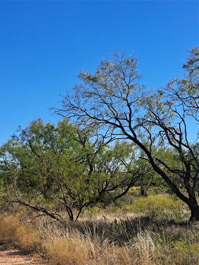 TBD 140 60 Acres, Merkel, TX 79536 - photo 5