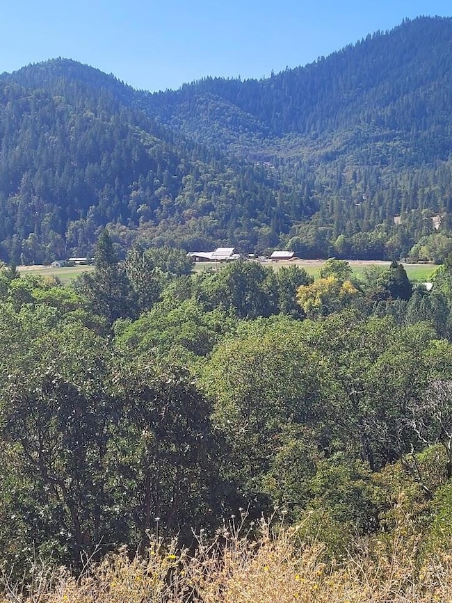 4862 N River Rd, Gold Hill, OR 97525 - photo 4