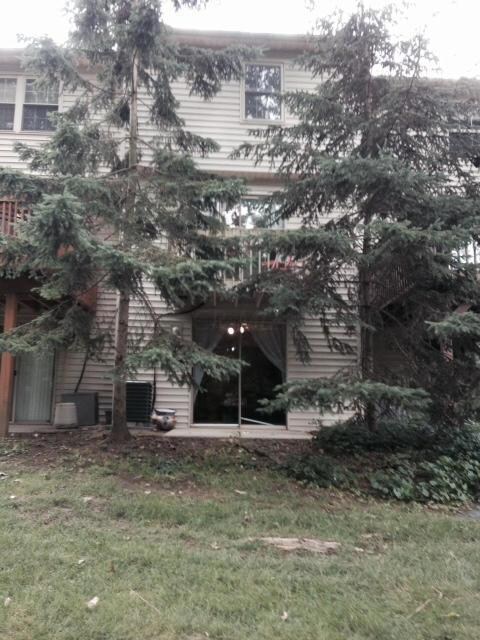 Rear view 1
