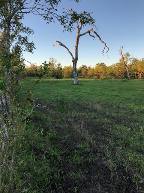 4518 County Road 659a, Brazoria, TX 77422 - photo 4