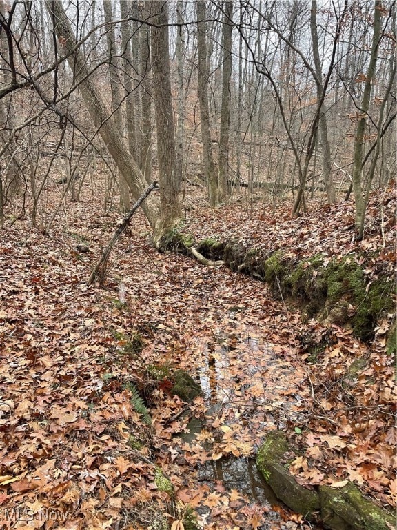 0 McKee Hill Rd unit 5175088, Frazeysburg, OH 43822 - photo 3