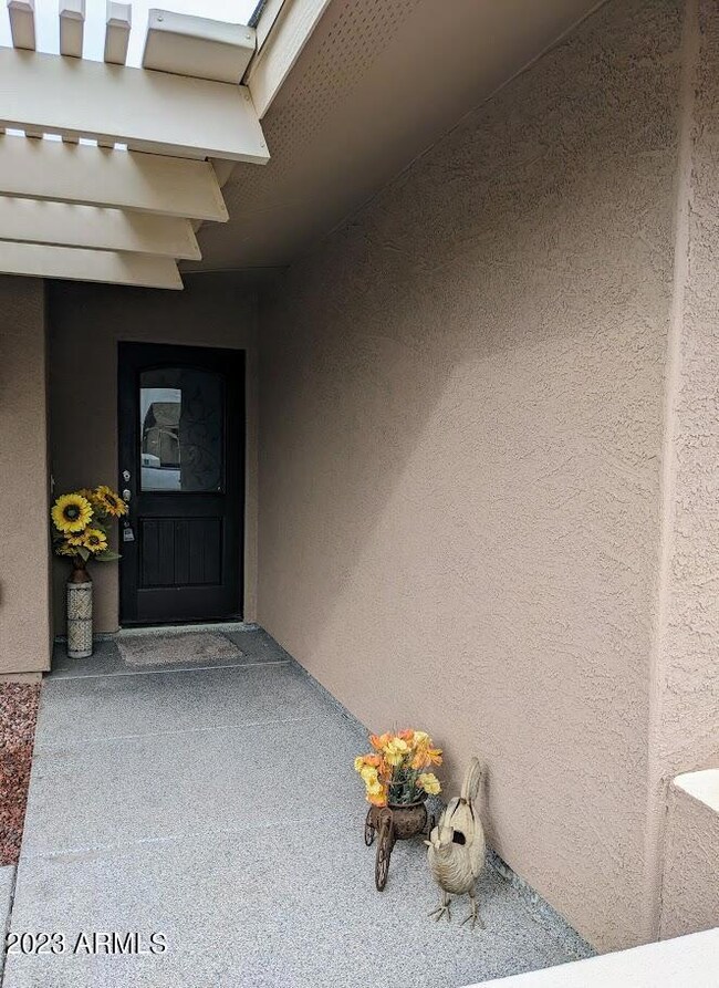 New Door Stucco Rock Landscape