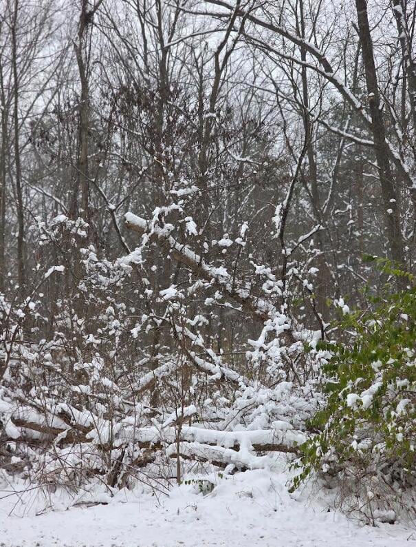 V/L 11th St, Plainwell, MI 49080 - photo 2