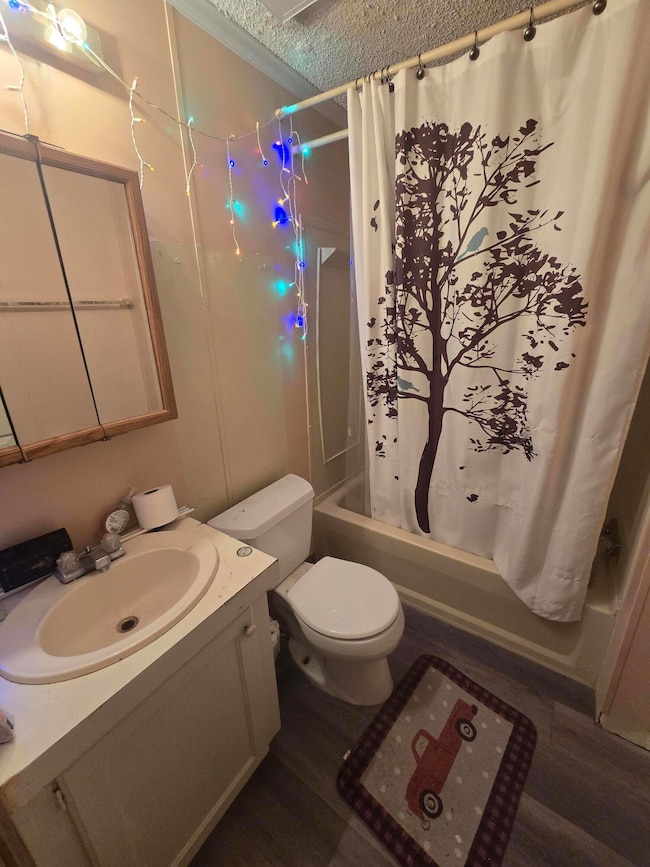 3 Riverview St, St. Louis, MI 48880 - photo 3