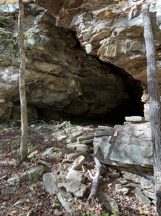 0000 Dump Mountain Rd, Mountain View, AR 72560 - photo 7