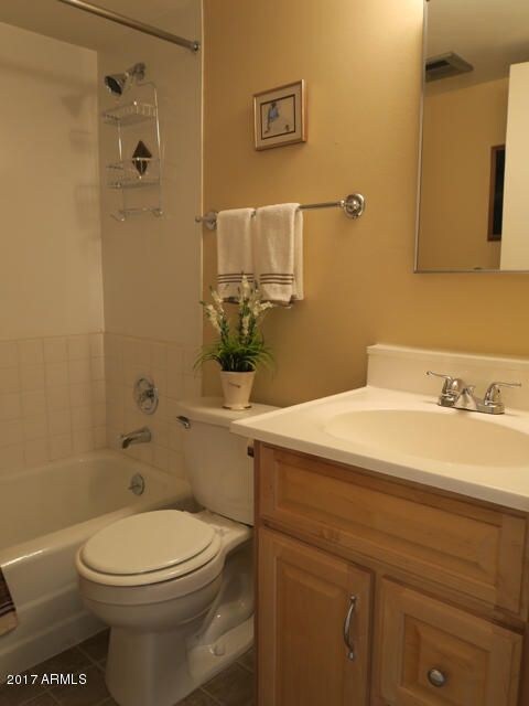 Updated Hall Bathroom