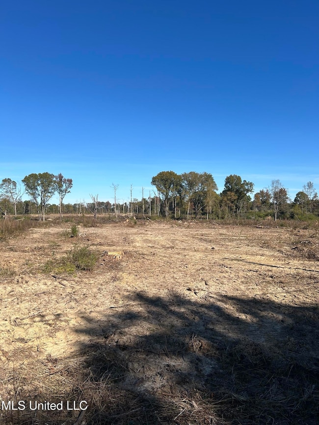 0 Warren Cook Rd, Mendenhall, MS 39114 - photo 5