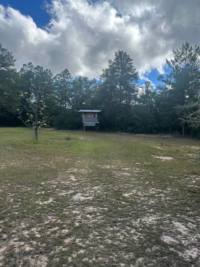 293 Hummingbird Ln, Ponce de Leon, FL 32455 - photo 6