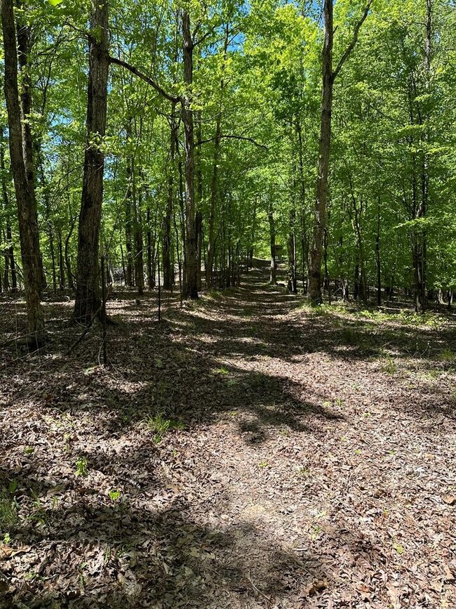 38 Cr 415, Oxford, MS 38655 - photo 3