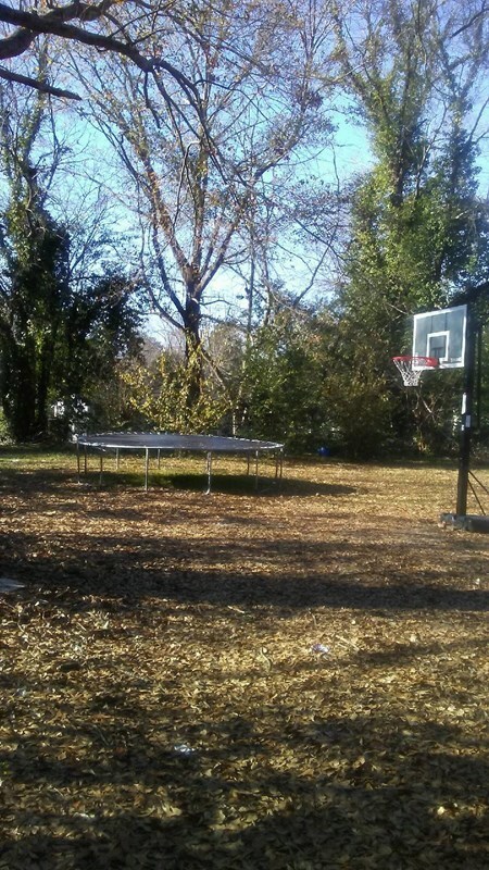 Additional Photo