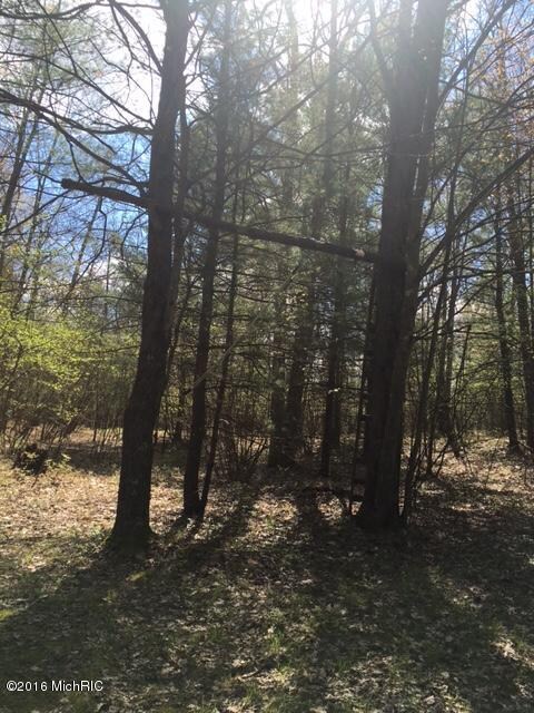 0 Del Vandall Rd unit 16023870, Chase, MI 49623 - photo 5