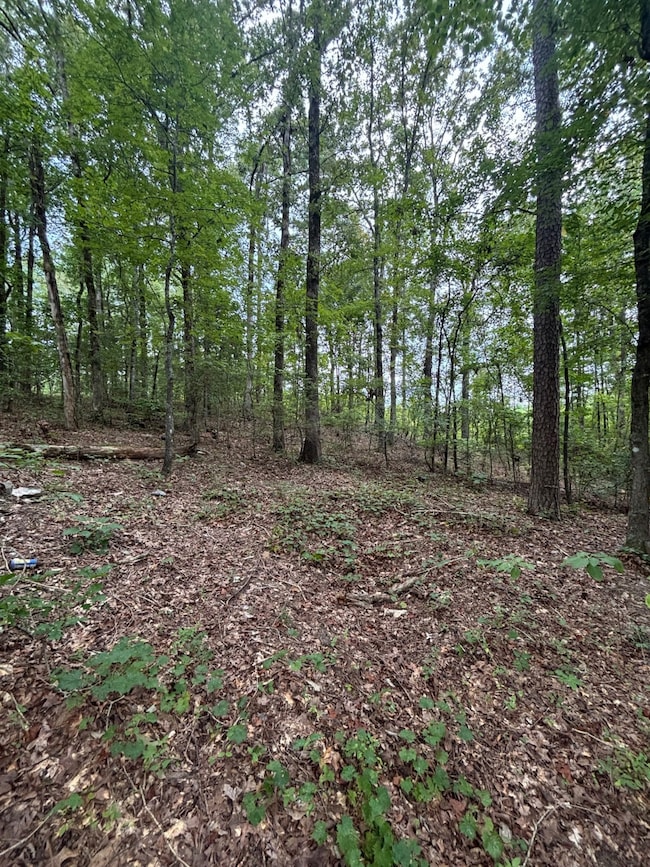 0 Tracie Rd, Gore Springs, MS 38929 - photo 5