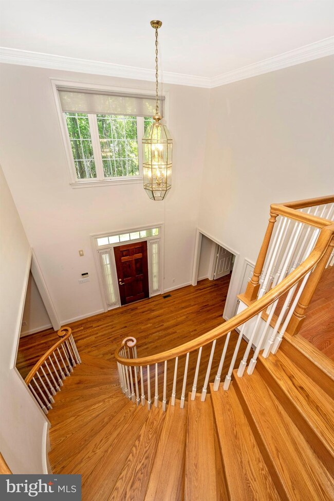 12210 Falls Rd, Potomac, MD 20854 - photo 3