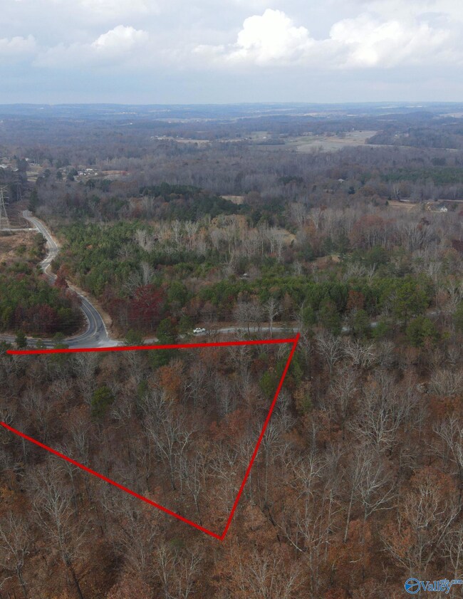 lot#0 County Road 70, Leesburg, AL 35983 - photo 7