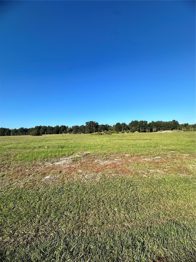 38793 Ranch Gate Blvd, Umatilla, FL 32784 - photo 2