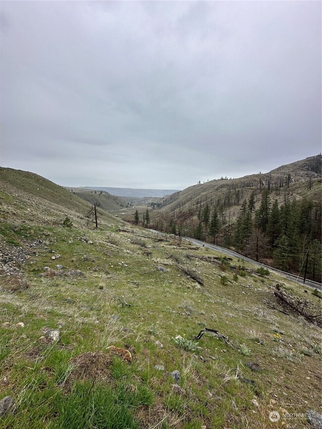 2830 Antoine Creek Rd (Lot D), Chelan, WA 98816 - photo 2