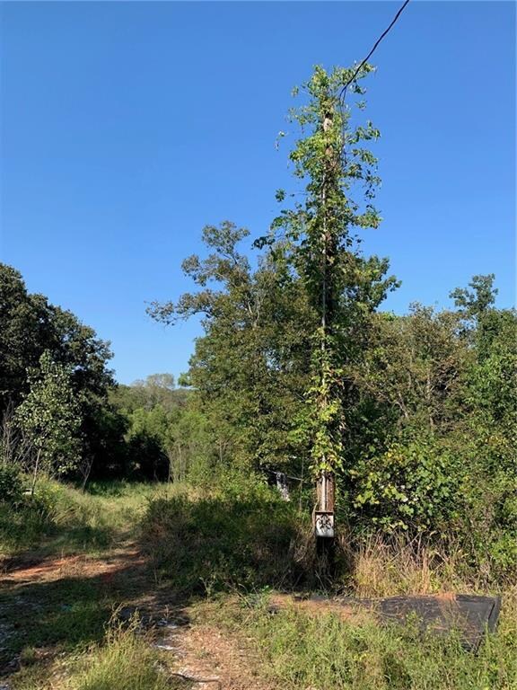 Electric pole on property