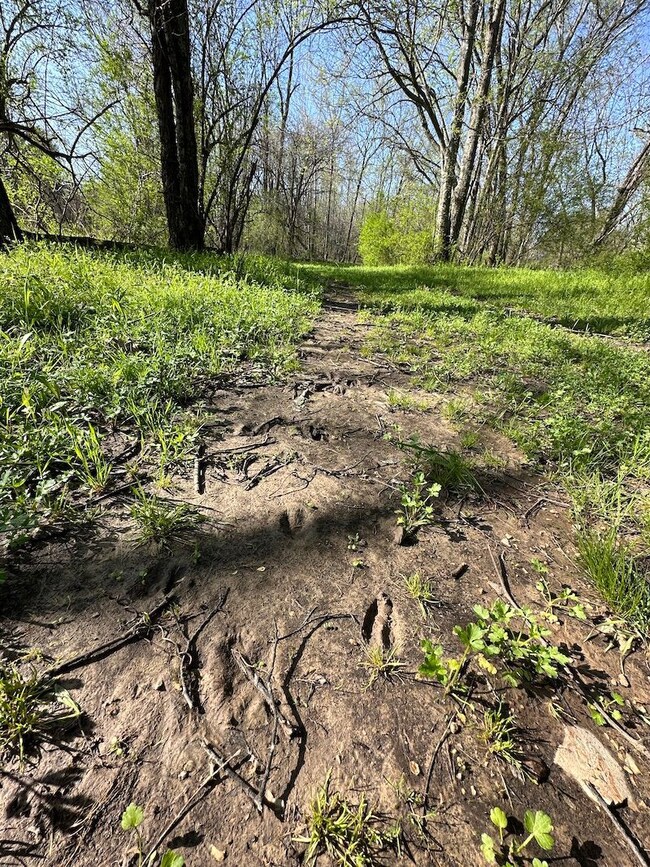 0 Tbd Engelberg Rd unit LotWP001, Pocahontas, AR 72455 - photo 5