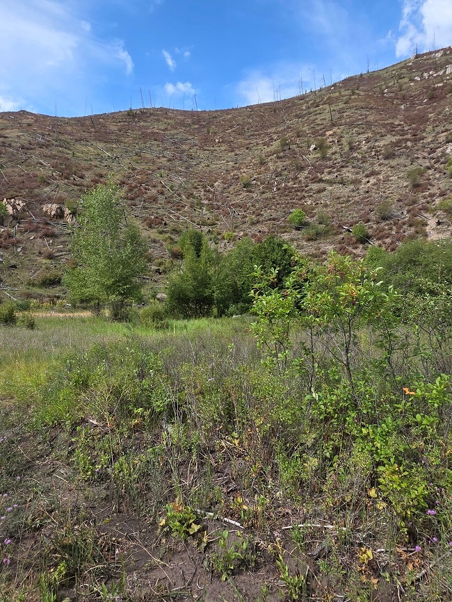 5855 Serenity Ln, Conner, MT 59827 - photo 5