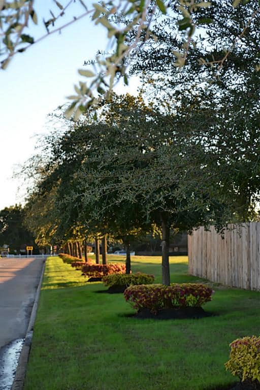 16835 Ranger Ridge Dr, Cypress, TX 77429 - photo 5