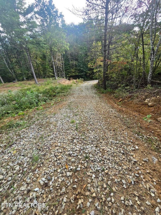 0 River Rd unit 1315659, Huntsville, TN 37756 - photo 5