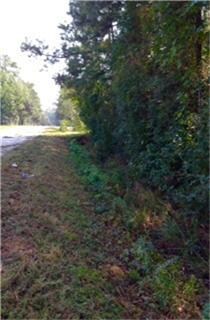 lot3a Saddlewood Dr, Conroe, TX 77384 - photo 4