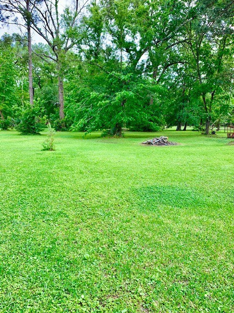 438 County Road 443, Dayton, TX 77535 - photo 6