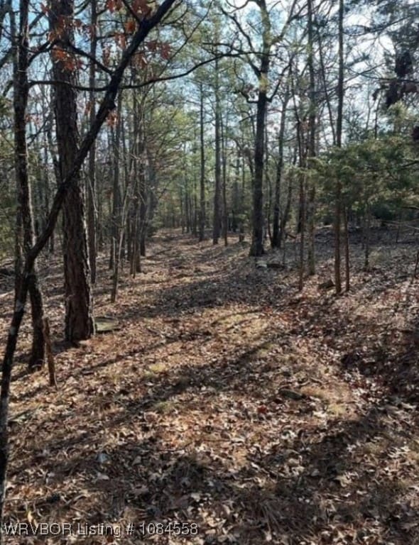 TBD Rural Latimer, Wilburton, OK 74578 - photo 2