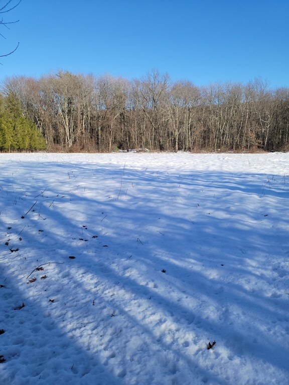 180 Town Farm Rd, Monson, MA 01057 - photo 4