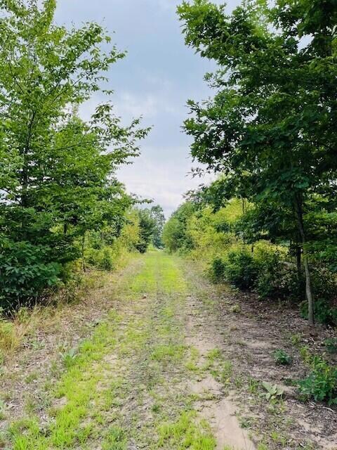 264 S 152nd Ave unit 20 Acres Vacant La, Shelby, MI 49455 - photo 5