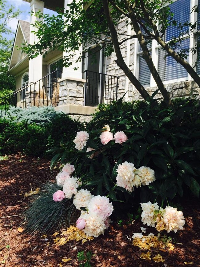 106 Locust Grove Dr, Georgetown, KY 40324 - photo 4