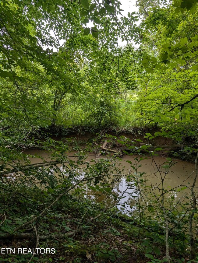 7662 Haws Rd unit 3, Knoxville, TN 37920 - photo 6