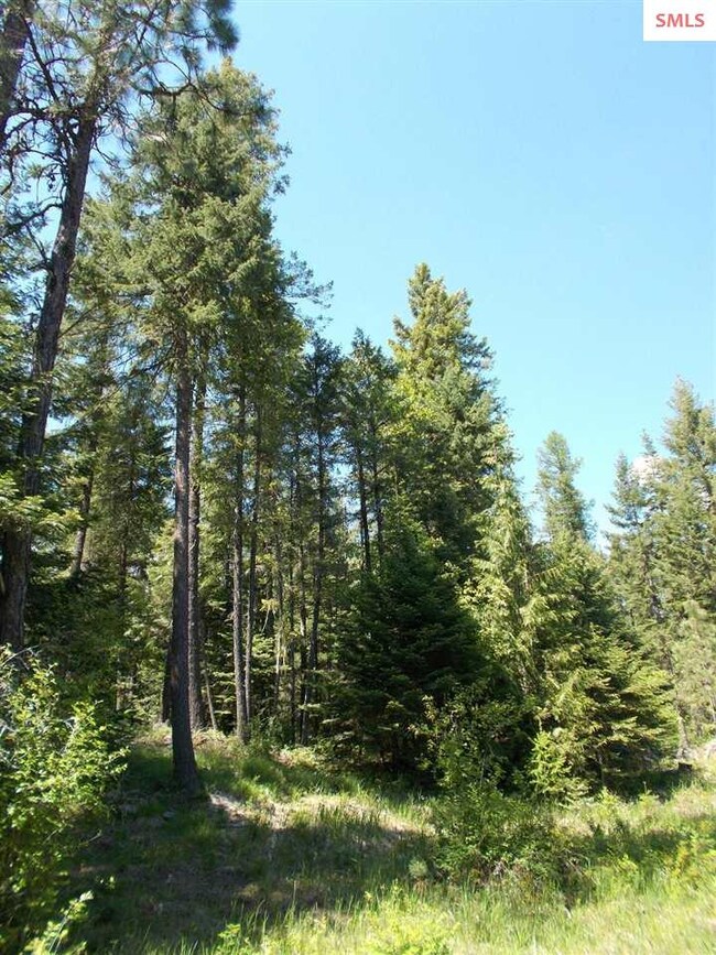 669 Forest Knolls Dr, Sandpoint, ID 83864 - photo 2