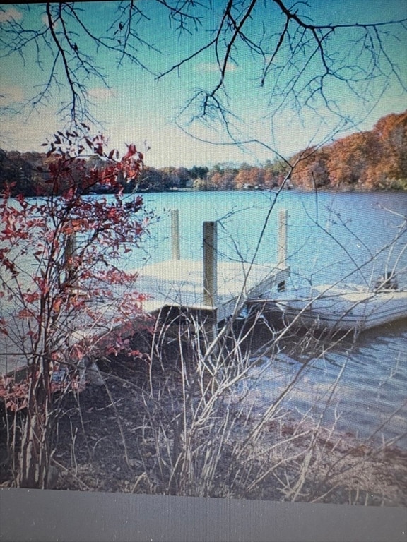 123 Dudley Rd, Wayland, MA 01778 - photo 3