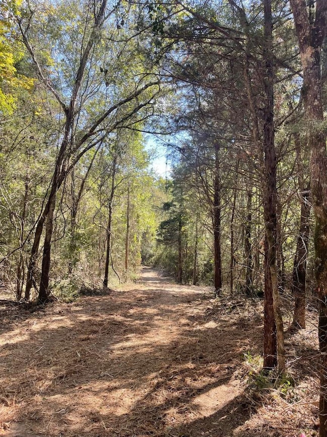 167 County Road 3141, Jacksonville, TX 75766 - photo 4