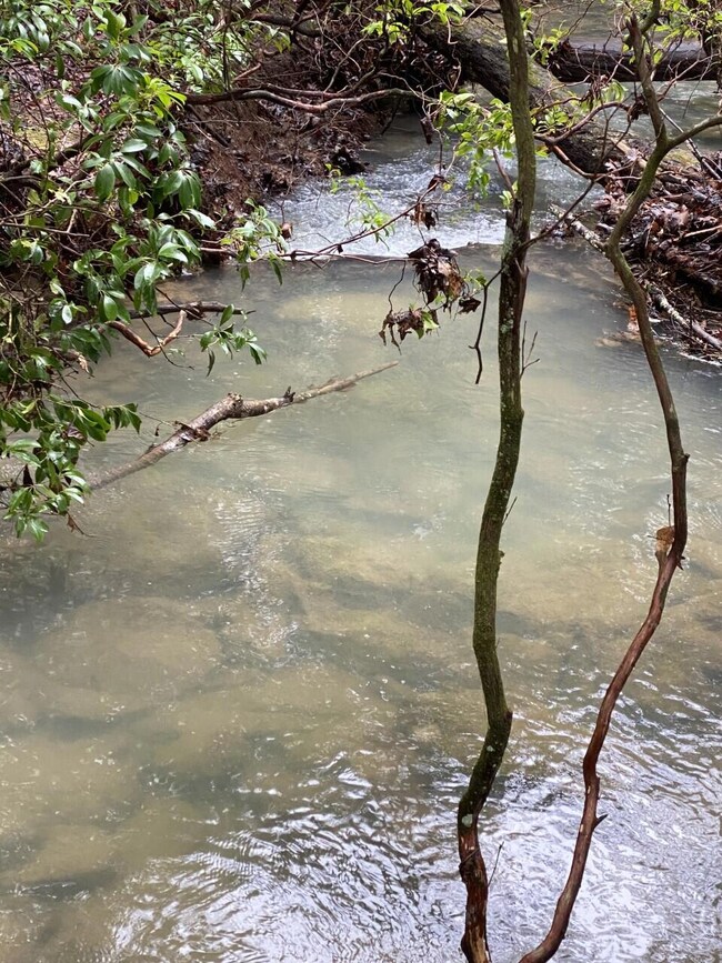 Lot 11 Thomas Springs Rd, Crossville, TN 38572 - photo 5