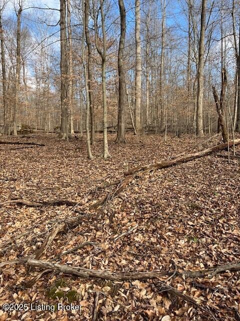 0 Ponderosa Place, Shepherdsville, KY 40165 - photo 2