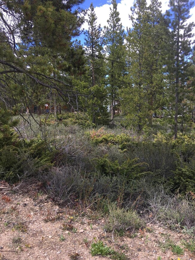 28 Gcr 6120, Granby, CO 80446 - photo 5