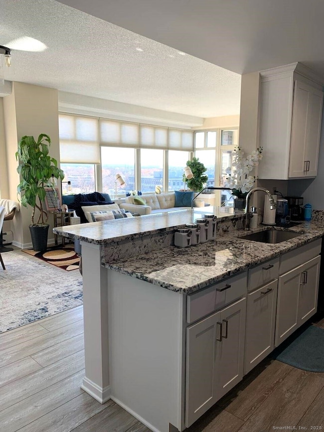 Riverpoint on the Connecticut unit 708, East Hartford, CT 06108 - photo 4