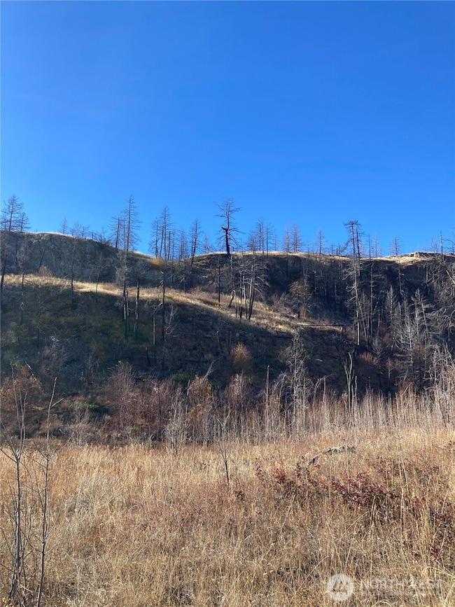 1111 Bottom Rd, Tonasket, WA 98855 - photo 6