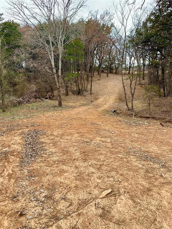 587 Clountz Ln, Pottsboro, TX 75076 - photo 6