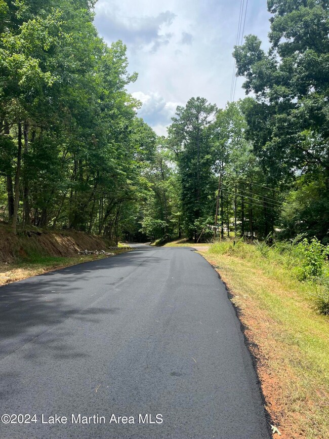 0 Centerport Rd unit 24-1091, Dadeville, AL 36853 - photo 4