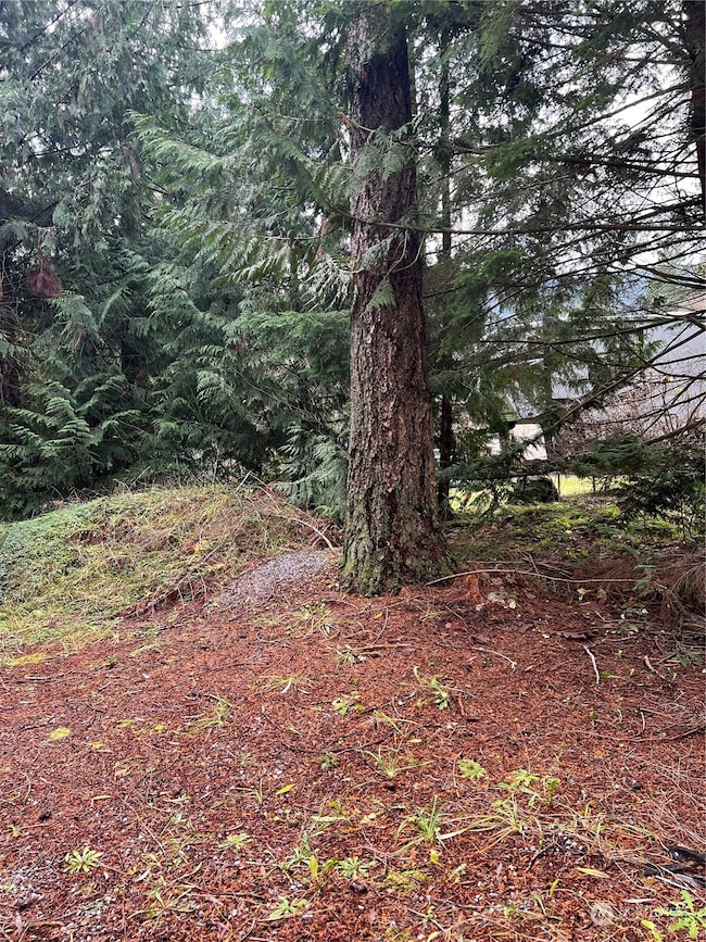 901 Ruby Valley Ct, Maple Falls, WA 98266 - photo 5