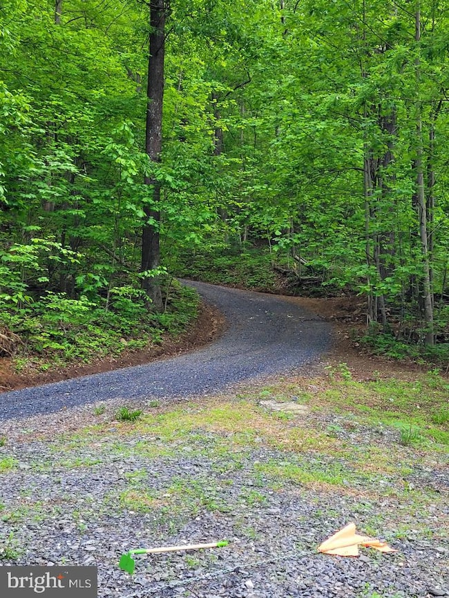 0 Woodlands Dr unit VARP2001854, Flint Hill, VA 22627 - photo 2