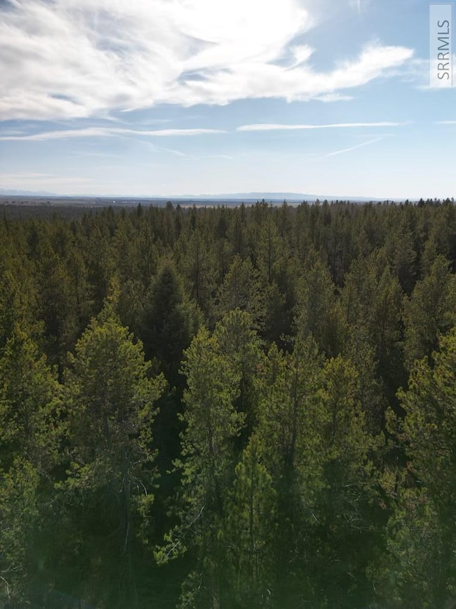 1663 Shadow Run, Ashton, ID 83420 - photo 4